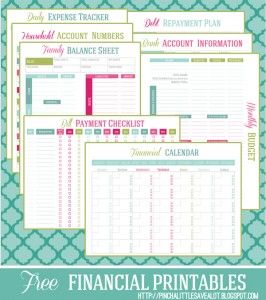 Free Financial Printable Planner Financial Printables Financial Planner Budgeting