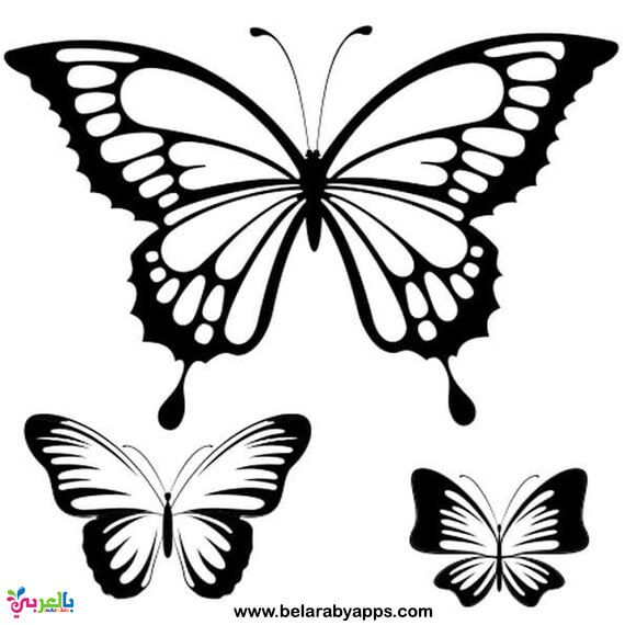 Free Printable Butterfly Templates Different Size Butterflies بالعربي نتعلم Butterfly Printable Butterfly Template Butterfly Stencil