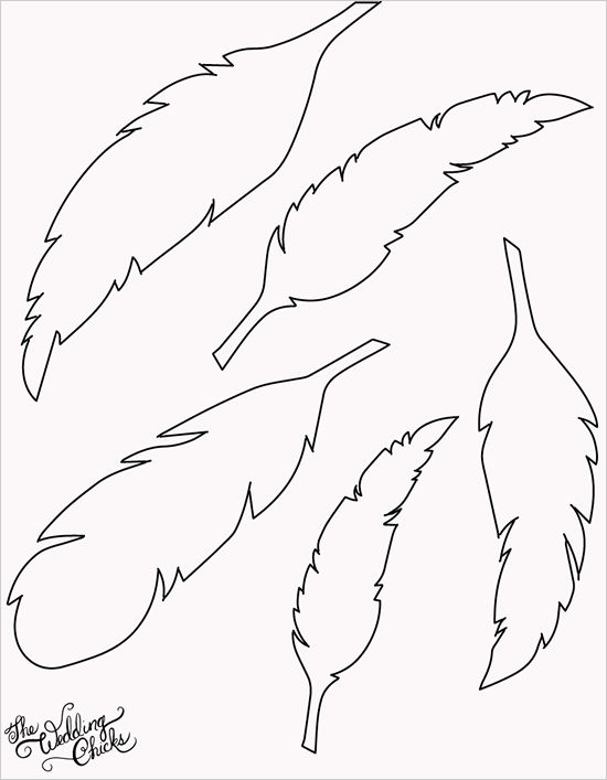 Free Printable Feather Template Feather Template Paper Feathers Feather