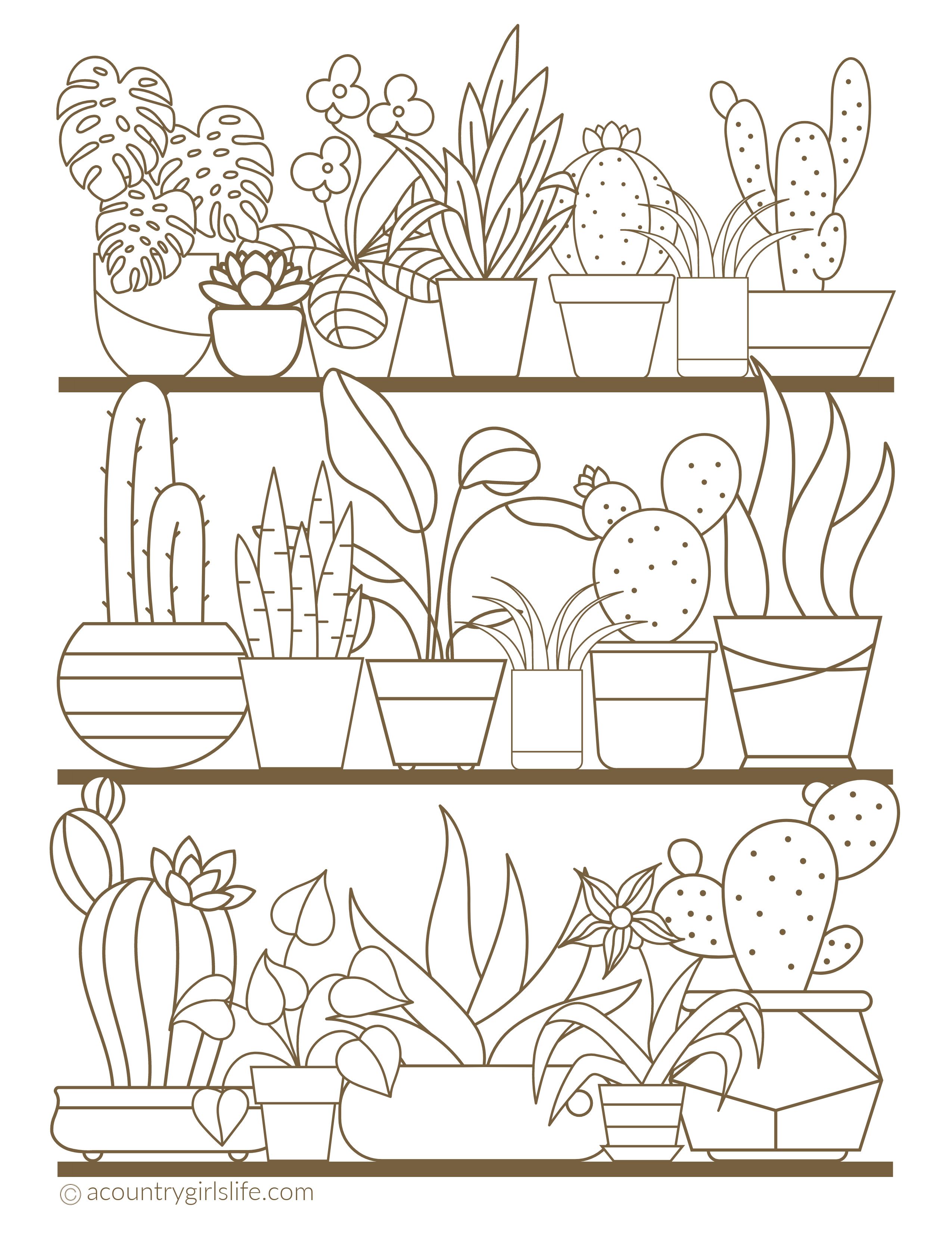 Pin On Free Printable Coloring Pages