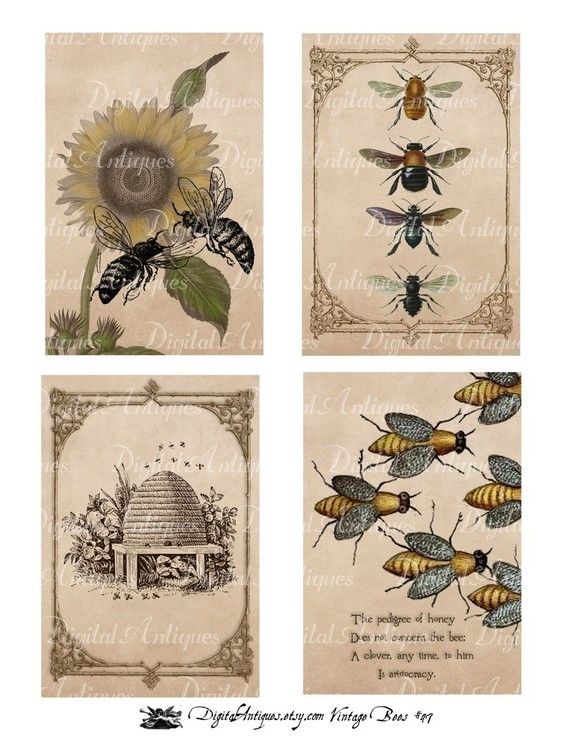Pin By Easygallery Changeable Photo On Gallery Wall Ideas Bee Art Bee Images Vintage Bee