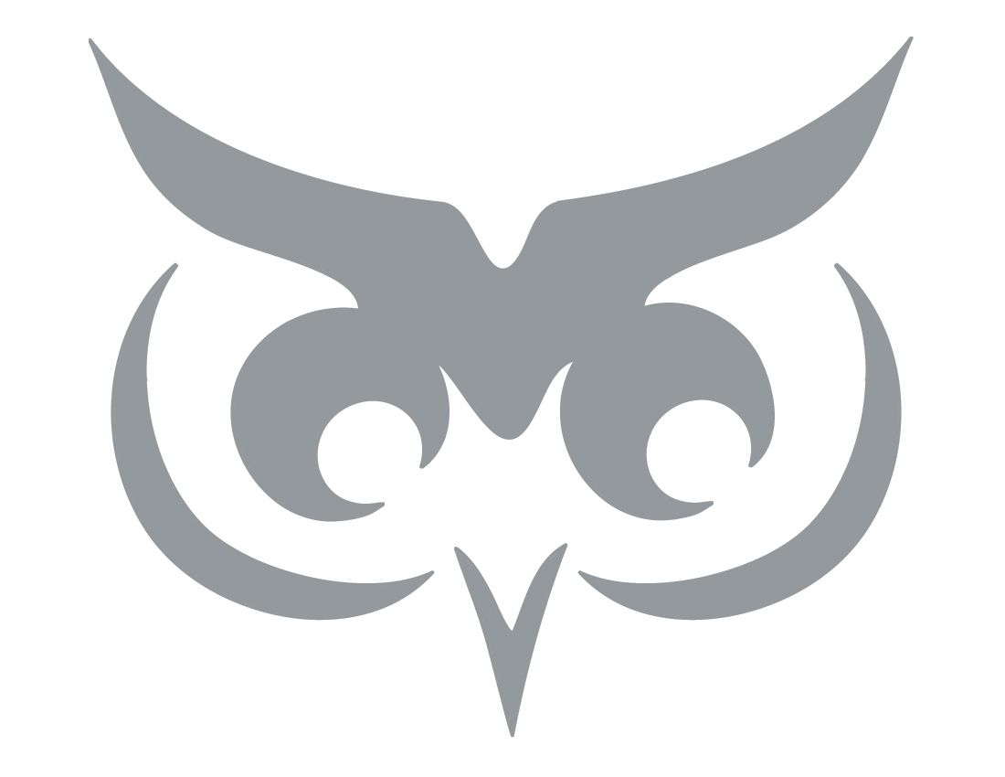 Printable Owl Stencil Pumpkin Stencils Free Owl Pumpkin Carving Pumpkin Carvings Stencils
