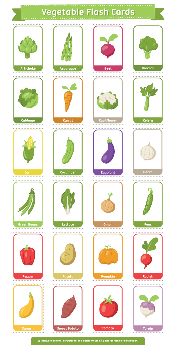 Free Printable Vegetable Flash Cards Download The Pdf At Http Flashcardfox Com Download Vegetable Fl Flashcards Flashcards For Kids English Lessons For Kids