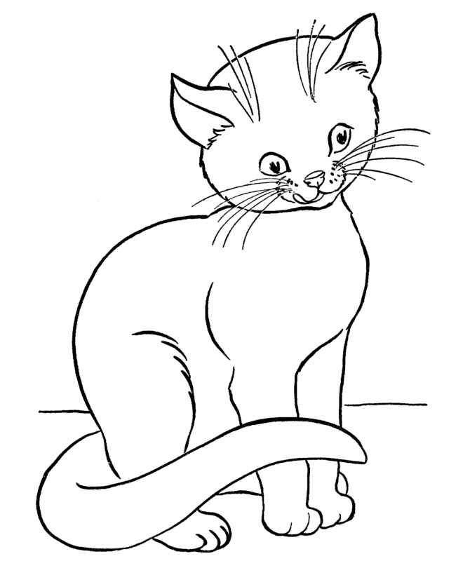 Free Printable Cat Coloring Pages For Kids Animal Coloring Pages Cat Coloring Page Cat Coloring Book
