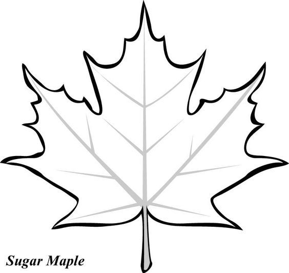 Pin By Hamvaslaura On Haft Richelieu Cutwork A Leaf Coloring Page Leaf Template Fall Leaves Coloring Pages